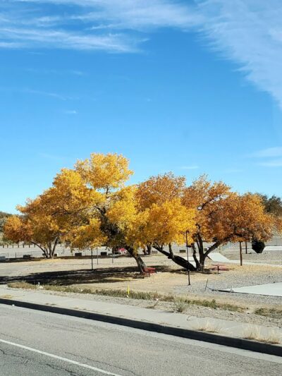 Nizhóní Park - Shiprock, NM