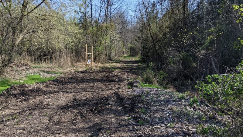 Esther-Hymer Nature Preserve - Shrewsbury, NJ