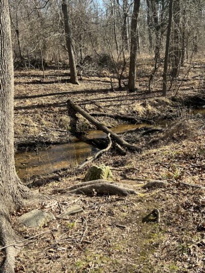 Esther-Hymer Nature Preserve - Shrewsbury, NJ