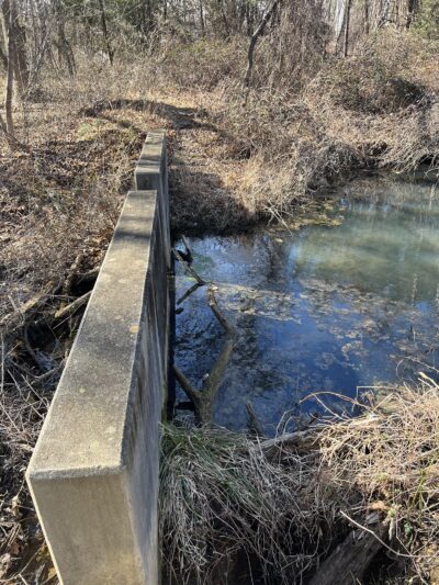 Esther-Hymer Nature Preserve - Shrewsbury, NJ