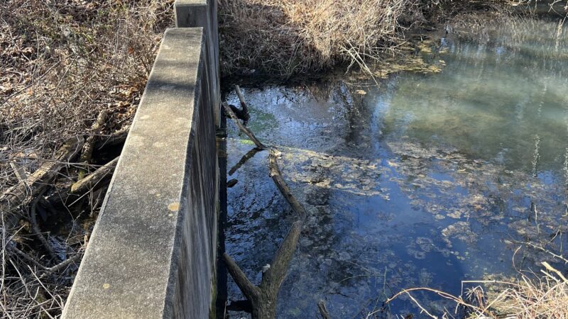 Esther-Hymer Nature Preserve - Shrewsbury, NJ