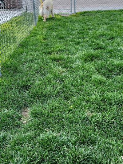 Dog Park at Love's Travel Stops - Sidney, NE