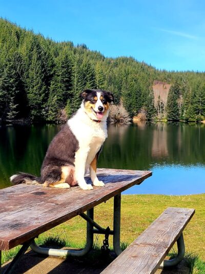Olalla Lake Recreation Area - Siletz, OR