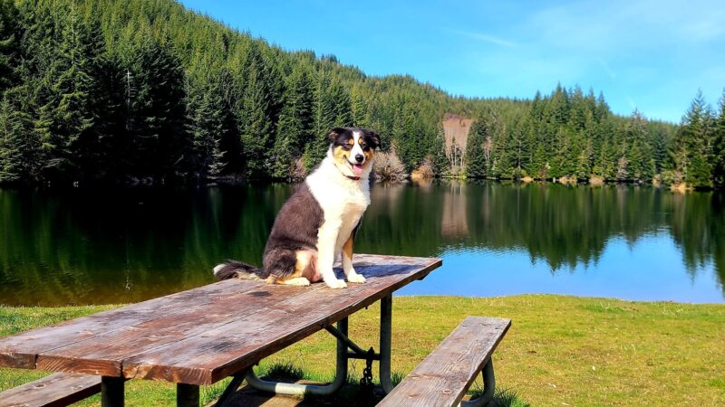 Olalla Lake Recreation Area - Siletz, OR