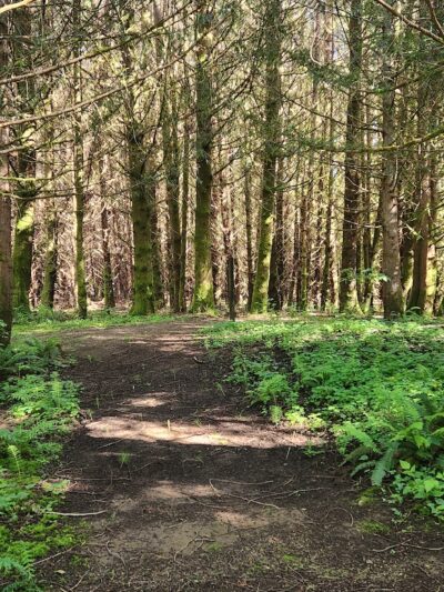 Strome County Park - Siletz, OR