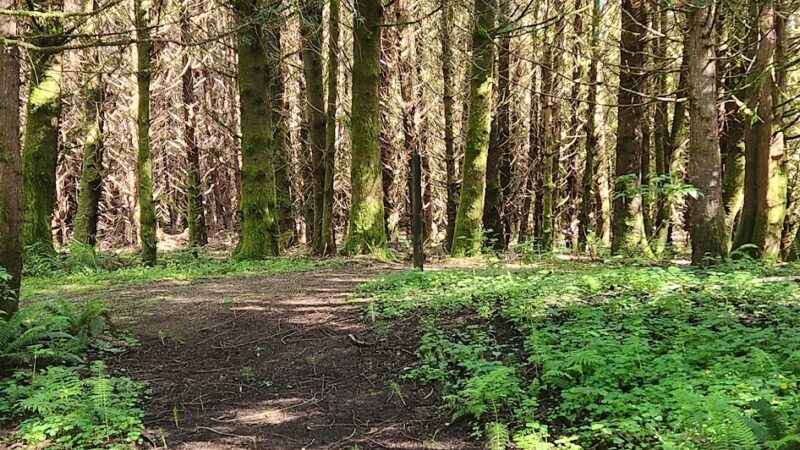 Strome County Park - Siletz, OR