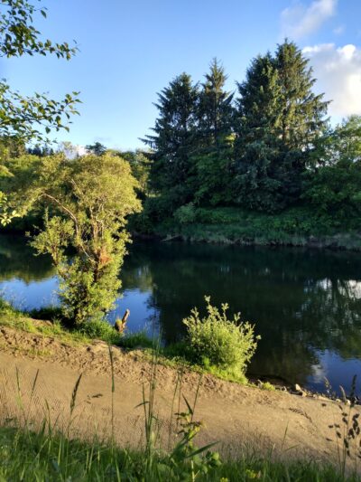 Strome County Park - Siletz, OR