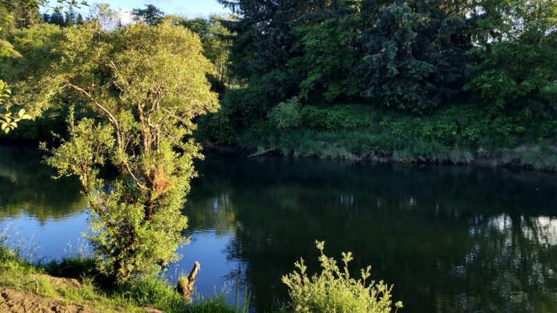 Strome County Park - Siletz, OR