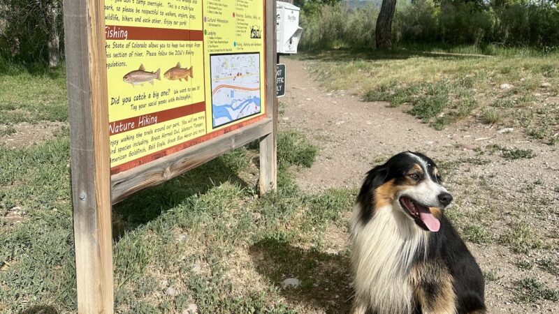 Giovanni Dog Park - Silt, CO