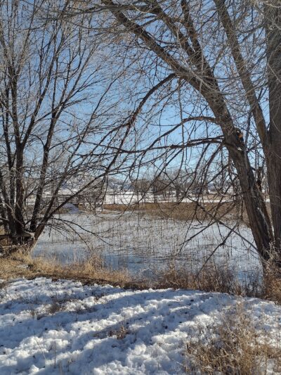 Silt River Preserve - Silt, CO