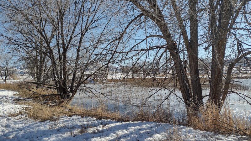 Silt River Preserve - Silt, CO