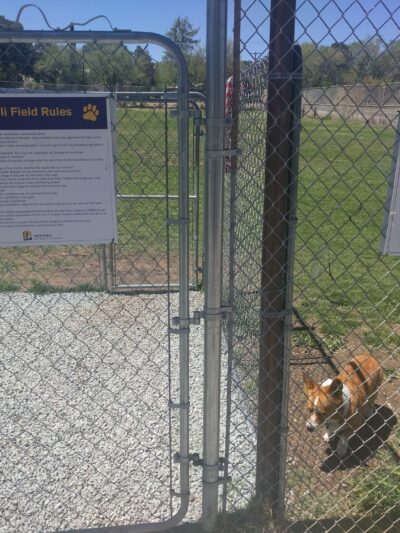 Silver City Dog Park - Silver City, NM