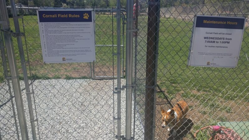 Silver City Dog Park - Silver City, NM