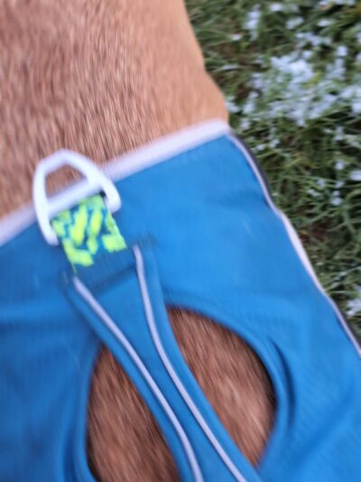 Silver City Dog Park - Silver City, NM