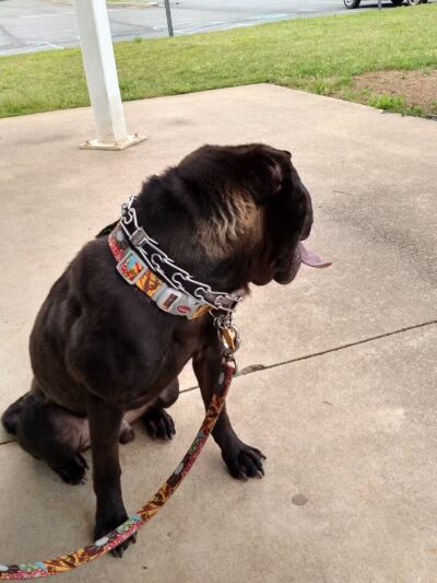 Midway Park - Silver Creek, GA