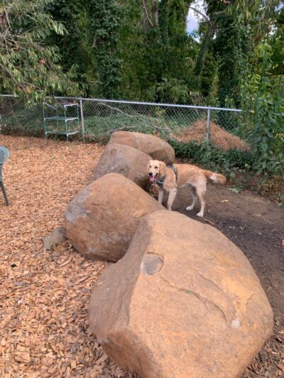 Silverton Dog Park - Silverton, OR