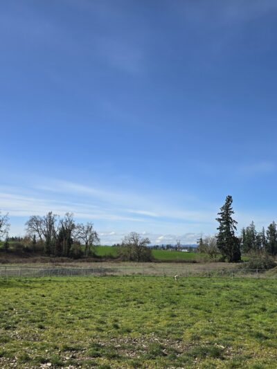 Silverton Dog Park - Silverton, OR