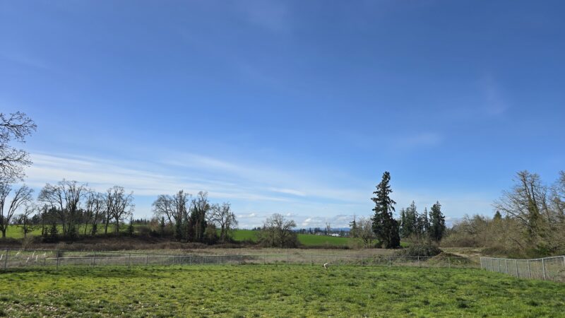 Silverton Dog Park - Silverton, OR