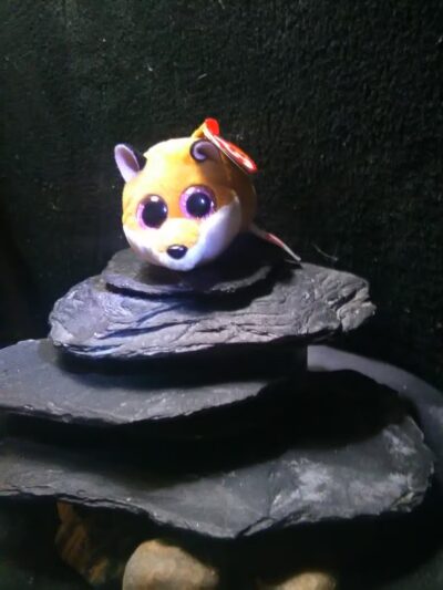 Fred Wiche Park - Simpsonville, KY