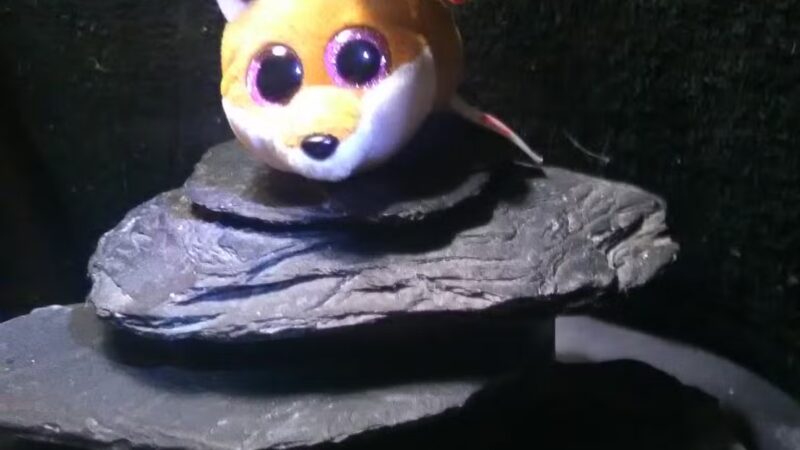 Fred Wiche Park - Simpsonville, KY