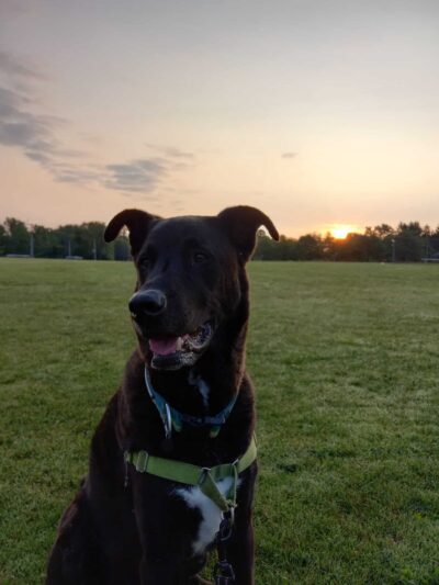 Austin Park Pavilion - Skaneateles, NY