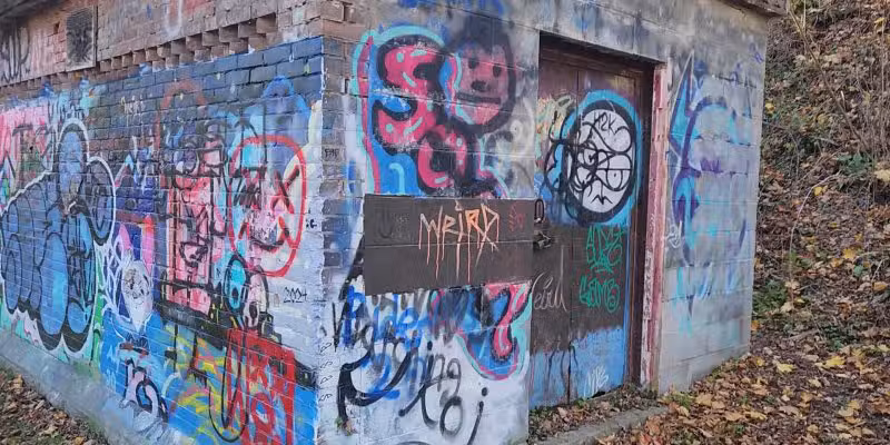 Charlie C. Major Nature Trail - Skaneateles, NY