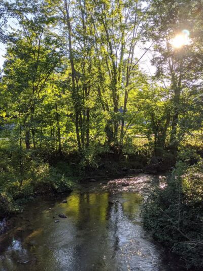 Charlie C. Major Nature Trail - Skaneateles, NY