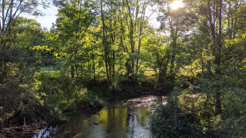Charlie C. Major Nature Trail - Skaneateles, NY