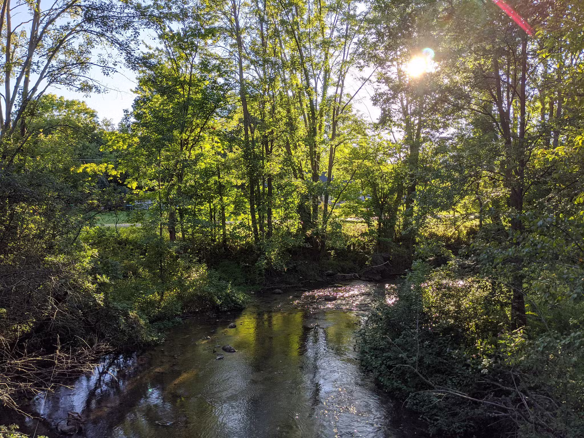 Charlie C. Major Nature Trail - Skaneateles, NY