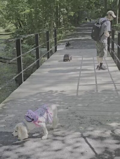 Charlie C. Major Nature Trail - Skaneateles, NY