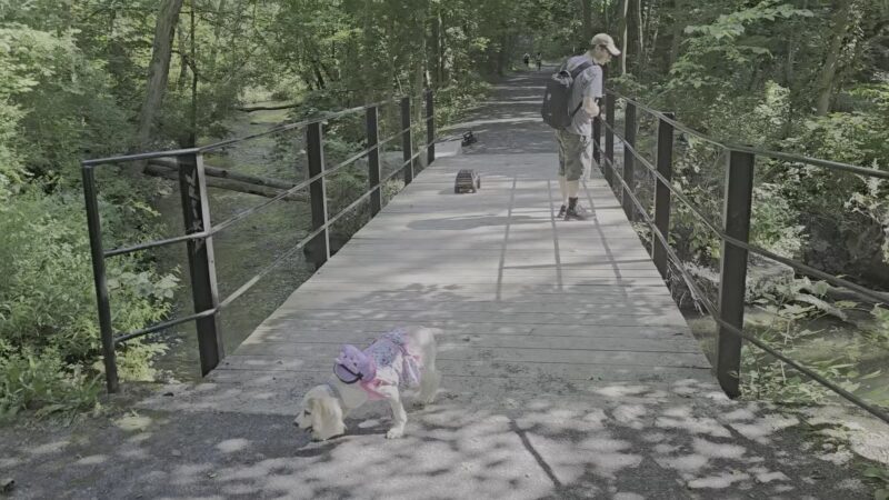 Charlie C. Major Nature Trail - Skaneateles, NY