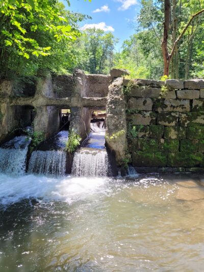 Charlie C. Major Nature Trail - Skaneateles, NY