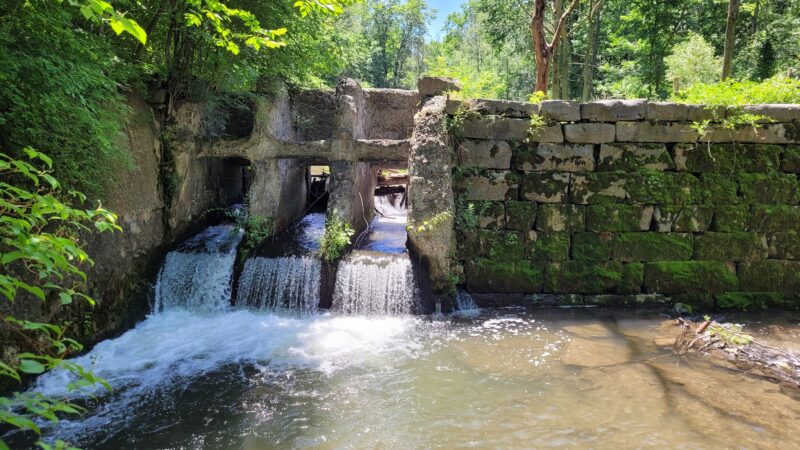 Charlie C. Major Nature Trail - Skaneateles, NY