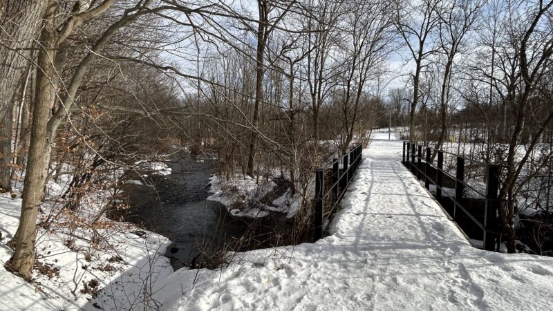 Charlie C Major Nature Trail Parking - Skaneateles, NY