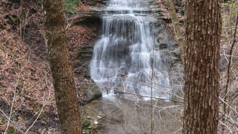 Guppy Falls Trail - Skaneateles, NY