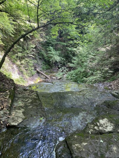 Guppy Falls Trail - Skaneateles, NY