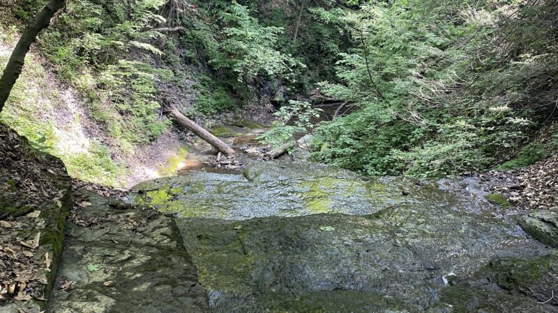 Guppy Falls Trail - Skaneateles, NY
