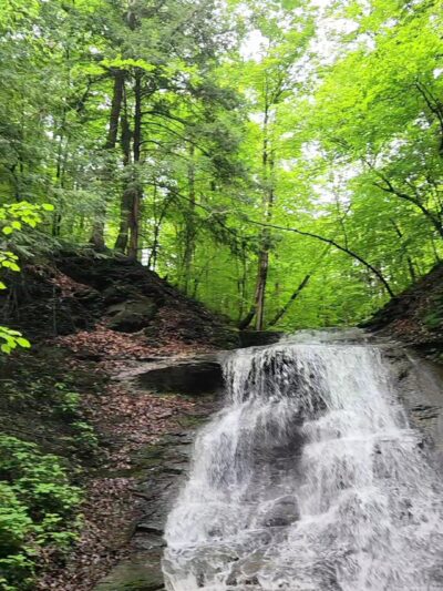 Guppy Falls Trail - Skaneateles, NY