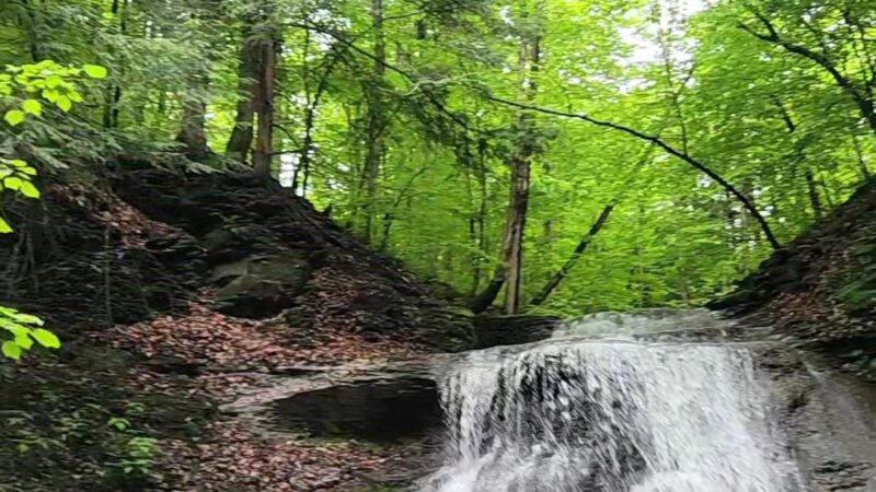 Guppy Falls Trail - Skaneateles, NY