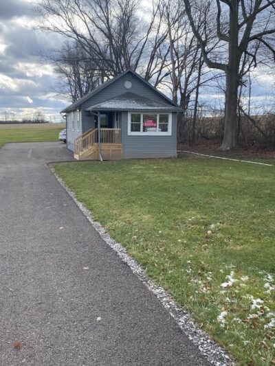 Skaneateles Dogs - Skaneateles, NY