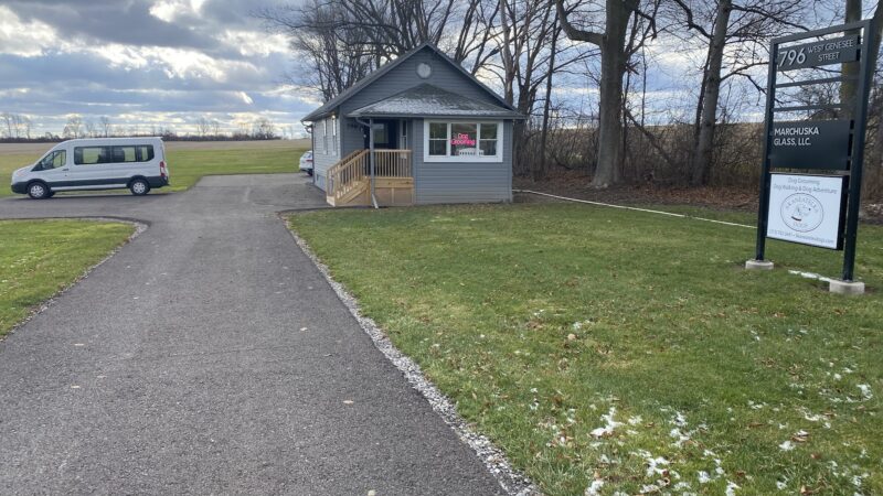 Skaneateles Dogs - Skaneateles, NY