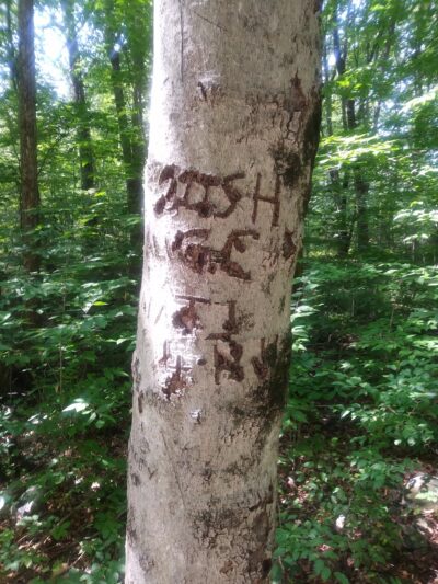 Shannen Park - Slate Hill, NY