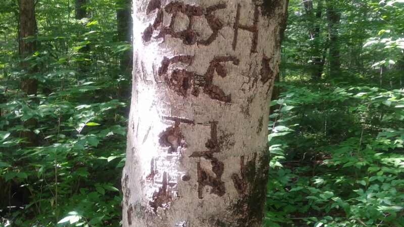 Shannen Park - Slate Hill, NY