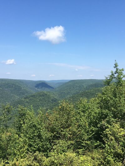 Black Forest Trail - Slate Run, PA