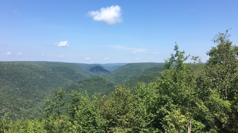 Black Forest Trail - Slate Run, PA