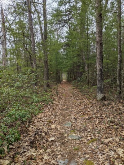 Black Forest Trail - Slate Run, PA