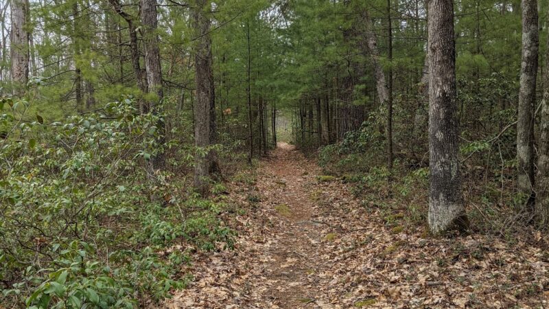 Black Forest Trail - Slate Run, PA