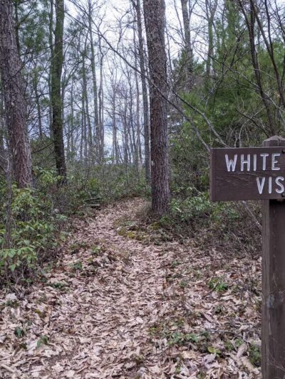Black Forest Trail - Slate Run, PA