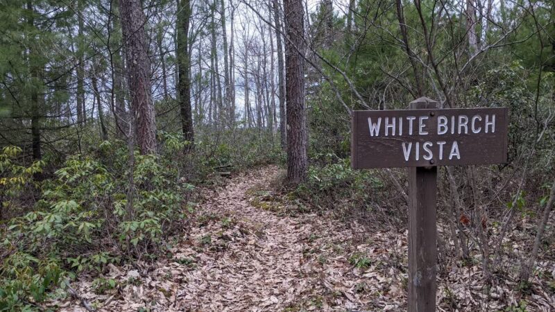 Black Forest Trail - Slate Run, PA
