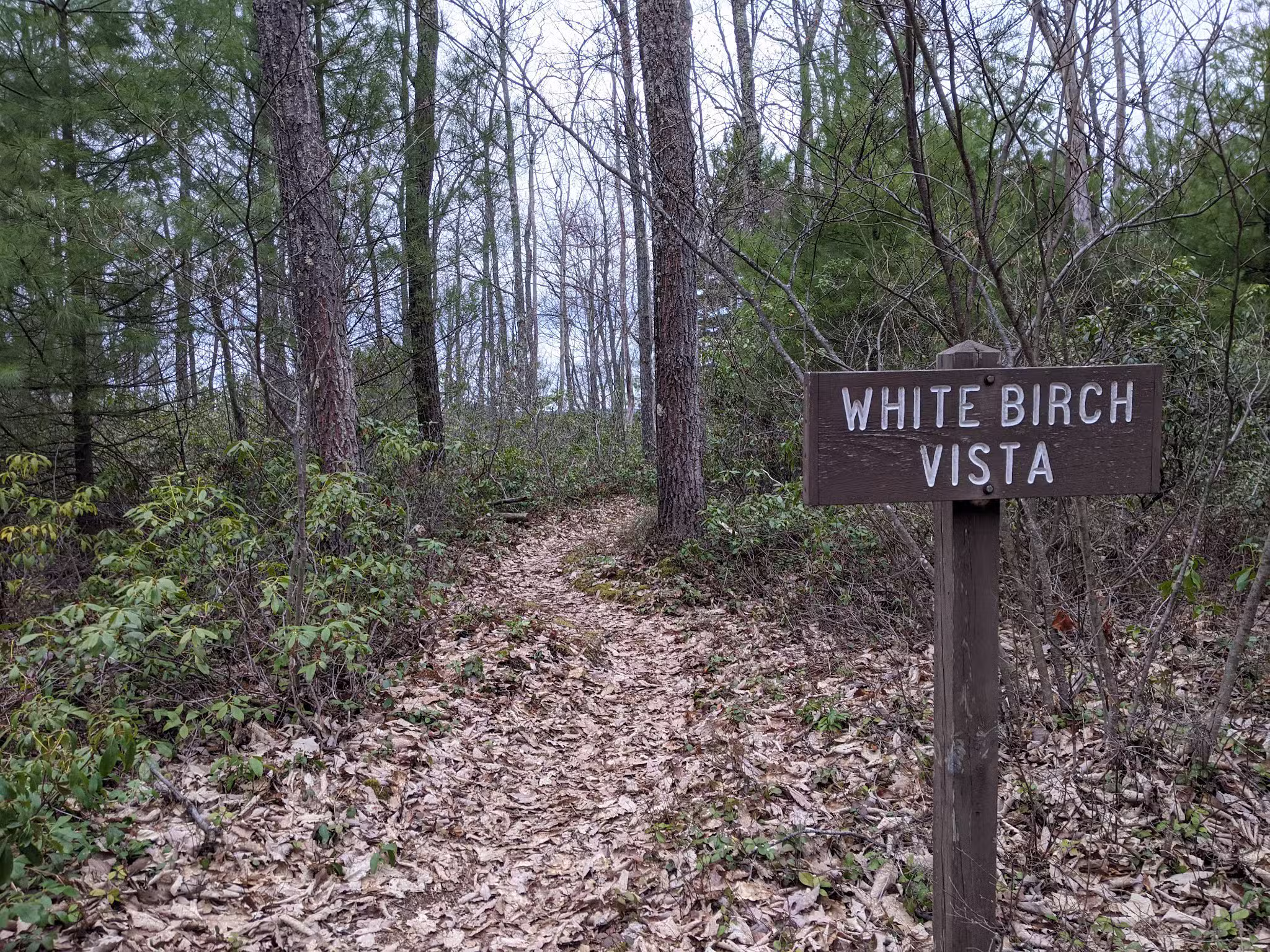Black Forest Trail - Slate Run, PA